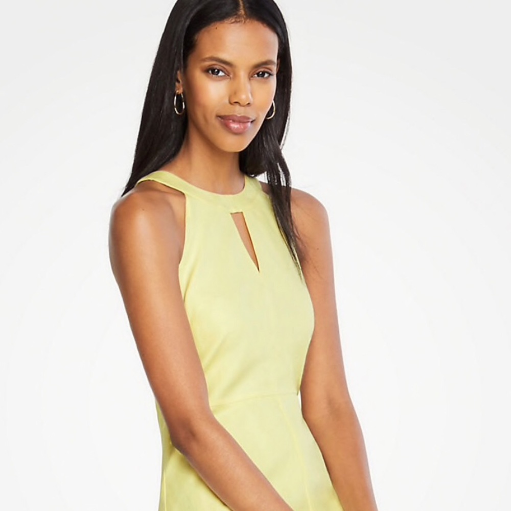 NWOT Ann Taylor Dress